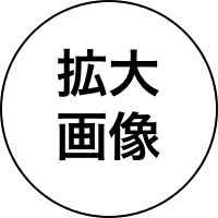 拡大画像